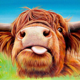 A colorful painting of a Highland cow with shaggy hair and large horns sticking its tongue out. By Scott McGregor