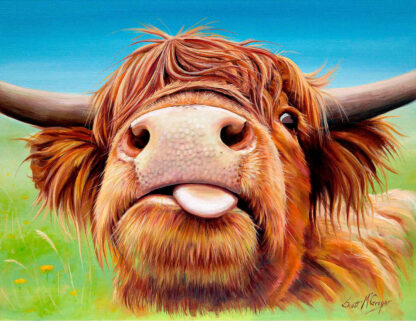 A colorful painting of a Highland cow with shaggy hair and large horns sticking its tongue out. By Scott McGregor