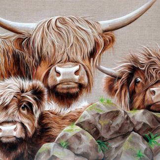 A realistic painting of three Highland cattle with shaggy hair standing behind rocks on a textured canvas. By Scott McGregor