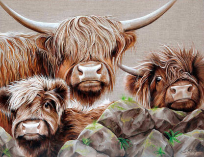 A realistic painting of three Highland cattle with shaggy hair standing behind rocks on a textured canvas. By Scott McGregor