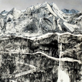 Image of The Clearing by Emily Little