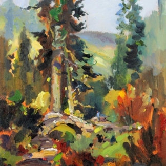 Image of The Woodland of Royal Botanic Garden, Dawyck by Josepth Maxwell Stuart