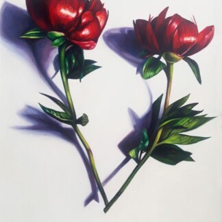 Touch/ Peonies